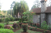 The Safe House: An Enclave of Peace and Hope